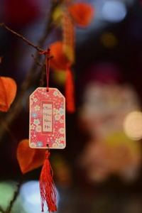 xì tố di động May88
